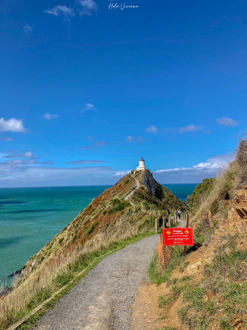 紐西蘭南島景點 Nugget Point