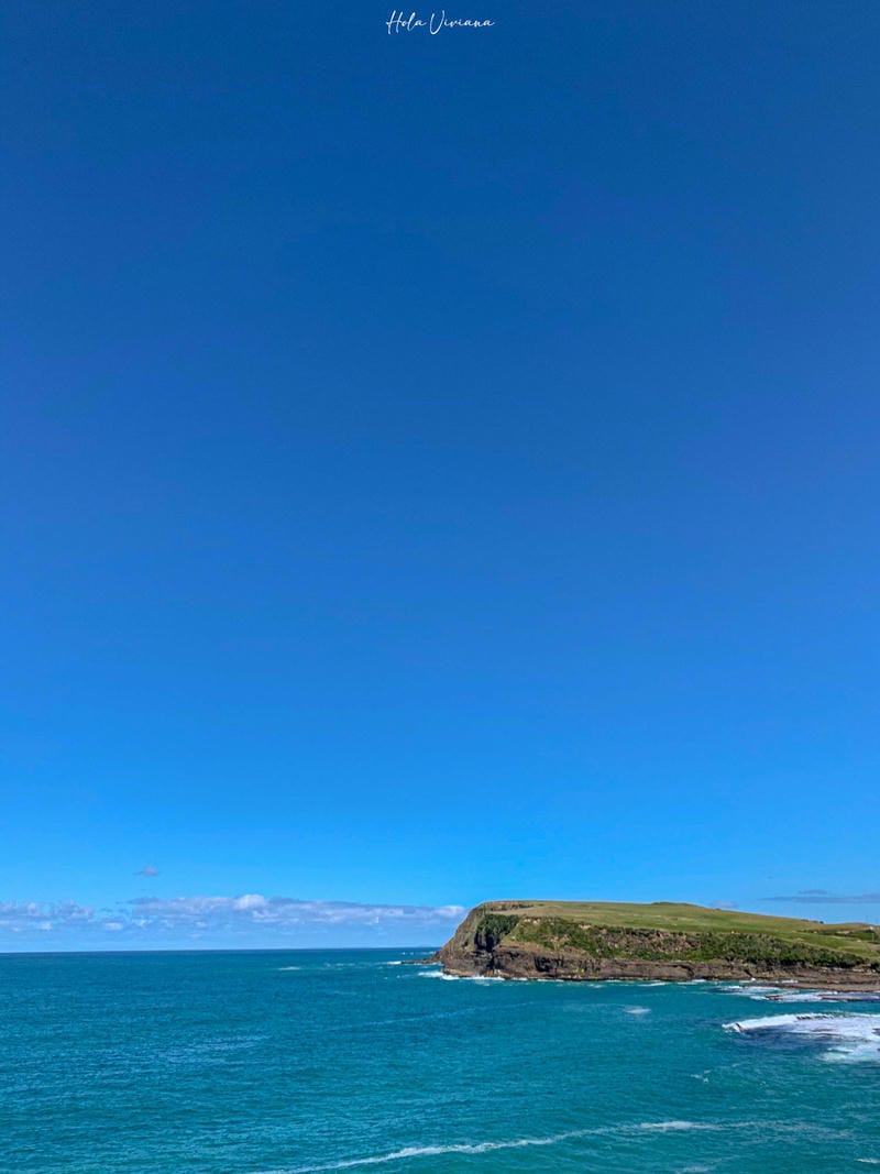 紐西蘭景點 Curio bay